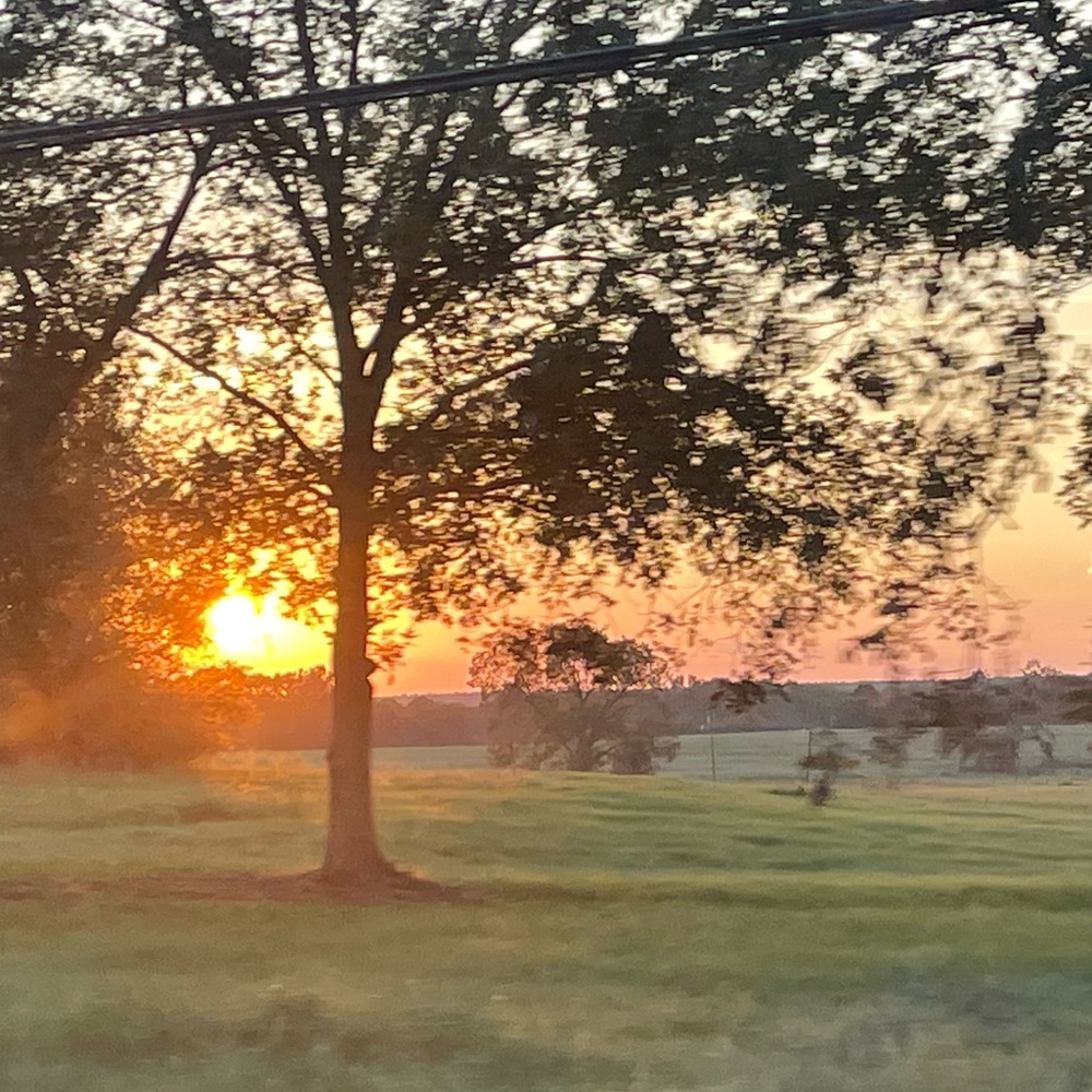 Meet your Posher, Angie